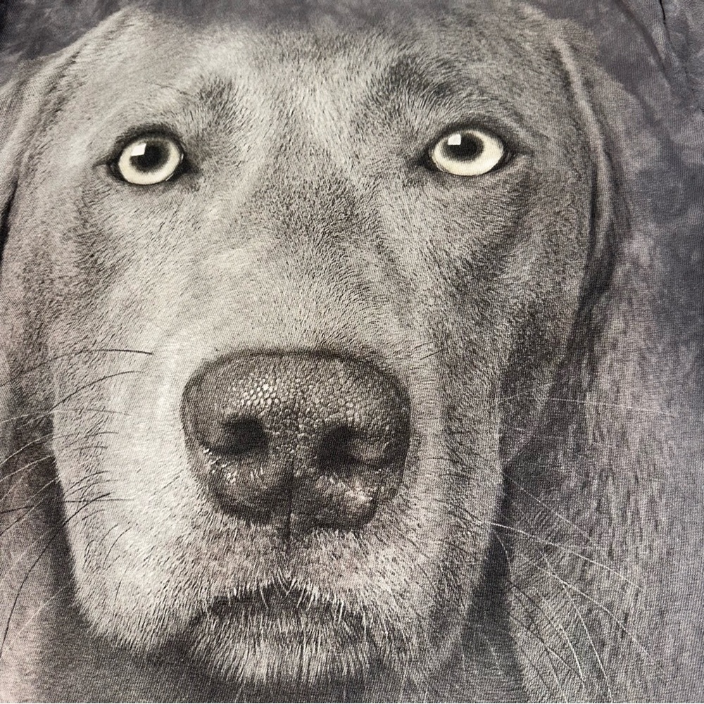 The Mountain Dog Face T-Shirt Weimaraner Big Print Medium Gray 2013‎ Vincent Hie - Picture 4 of 7